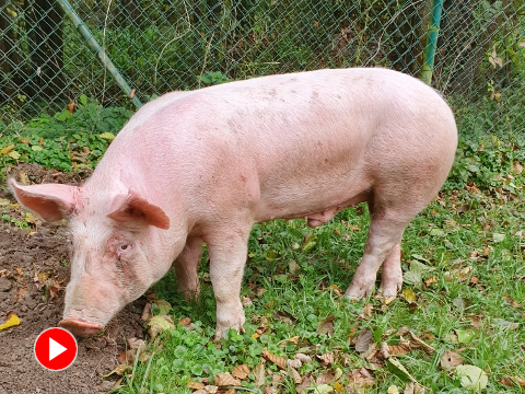 Foto: Zlin.cz