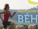 Foto: obec Provodov