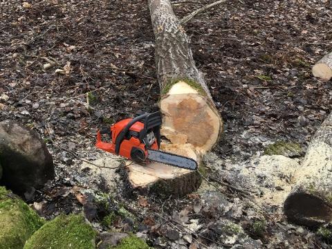 Ilustrační foto (Foto: Pixabay)