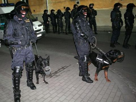 Ilustrační foto (Foto: Policie ČR)