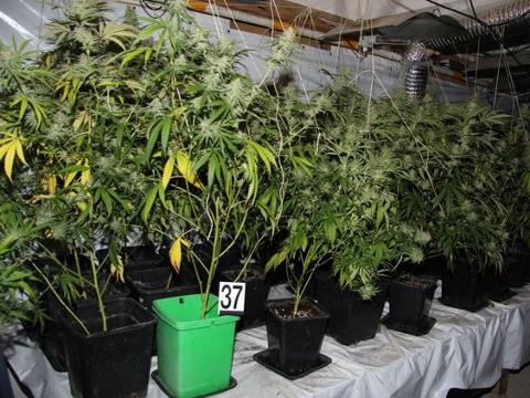 Ilustrační foto (Foto: Policie ČR)