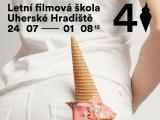 Ilustrační foto (Foto: www.lfs.cz)