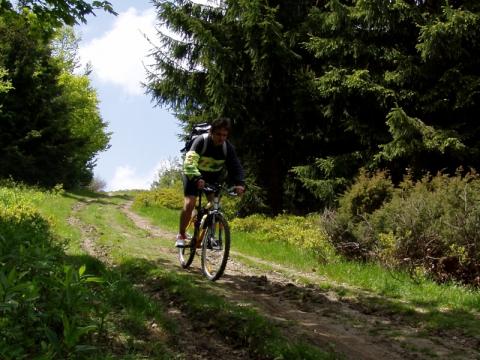 Ilustrační foto (Foto: Zlin.cz)