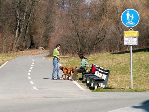 Ilustrační foto (Foto: Robert Šperka)
