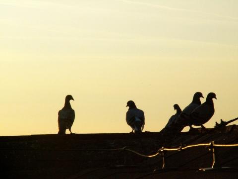 Ilustrační foto (Foto: Zlin.cz)