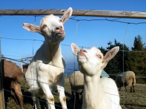 Ilustrační foto (Foto: Zlín.cz)