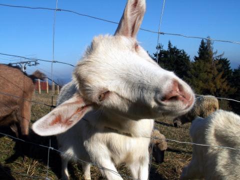 Ilustrační foto (Foto: Robert Šperka)