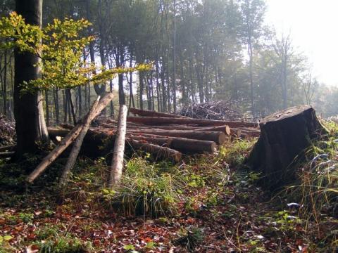 Ilustrační foto (Foto: Robert Šperka)