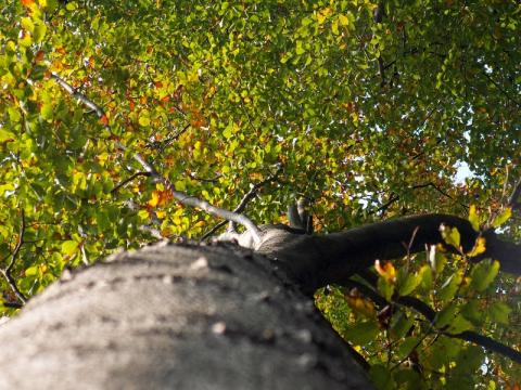 Ilustrační foto (Foto: Robert Šperka)