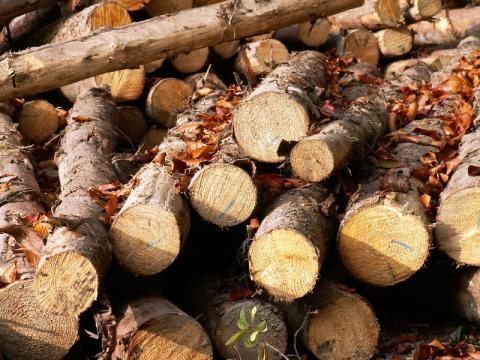 Ilustrační foto (Foto: Zlin.cz)