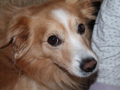 Ilustrační foto (Foto: Robert Šperka)