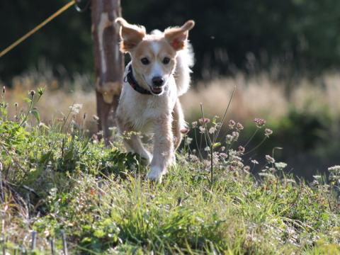 Ilustrační foto (Foto: Zlin.cz)