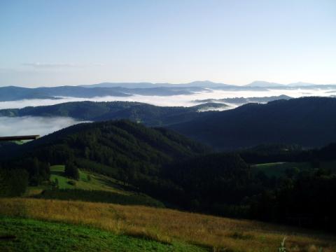 Ilustrační foto (Foto: Zlin.cz)