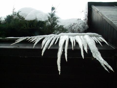 Ilustrační foto (Foto: Zlín.cz)