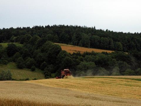Ilustrační foto (Foto: Zlin.cz)