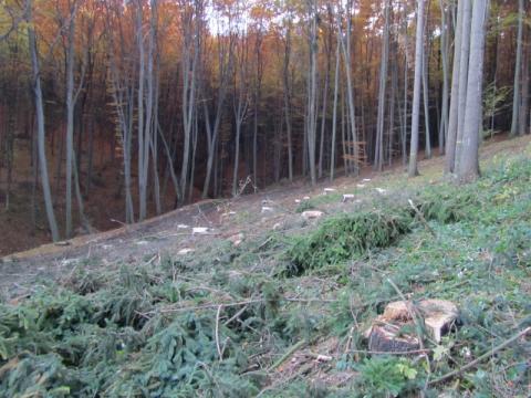 Ilustrační foto (Foto: Zlin.cz)