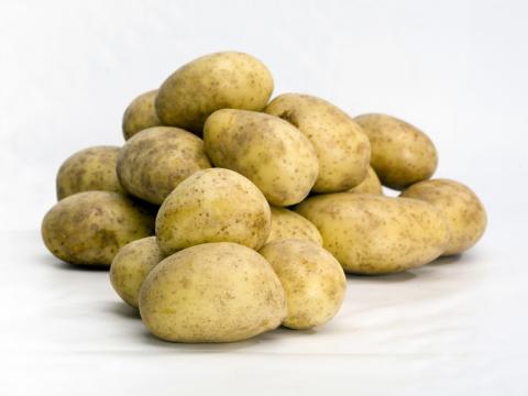 Ilustrační foto (Foto: Zlín.cz)