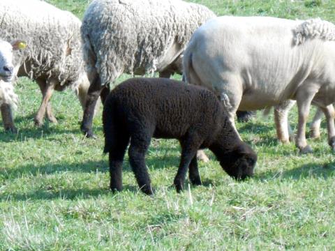 Ilustrační foto (Foto: Zlin.cz)