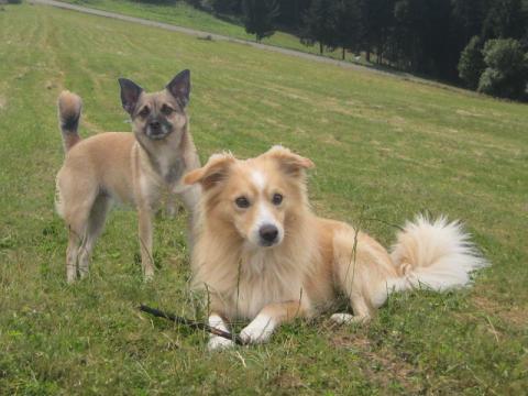 Ilustrační foto (Foto: Robert Šperka)