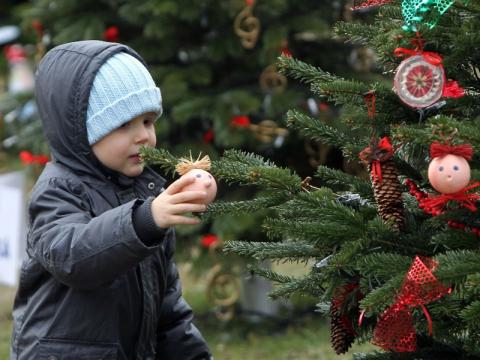 Ilustrační foto (Foto: Zlin.cz)