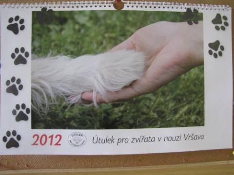 Kalendář zlínského útulku