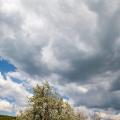Foto: Farma Rudimov