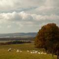 Foto: Farma Rudimov