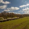 Foto: Farma Rudimov