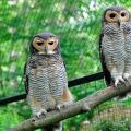 Foto: Archiv ZOO Zlín