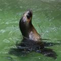 Foto: Archiv ZOO Zlín