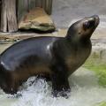 Foto: Archiv ZOO Zlín