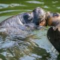 Foto: Archiv ZOO Zlín