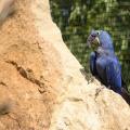 Foto: Archiv ZOO Zlín