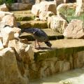 Foto: Archiv ZOO Zlín