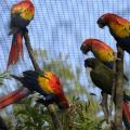 Foto: Archiv ZOO Zlín