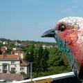 Foto: Zlínsko a Luhačovicko