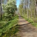Litovelské Pomoraví