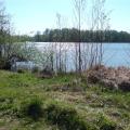 Přírodní koupaliště Poděbrady u Olomouce